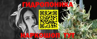 стаф Нарткала