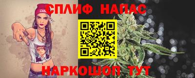 стаф Нарткала