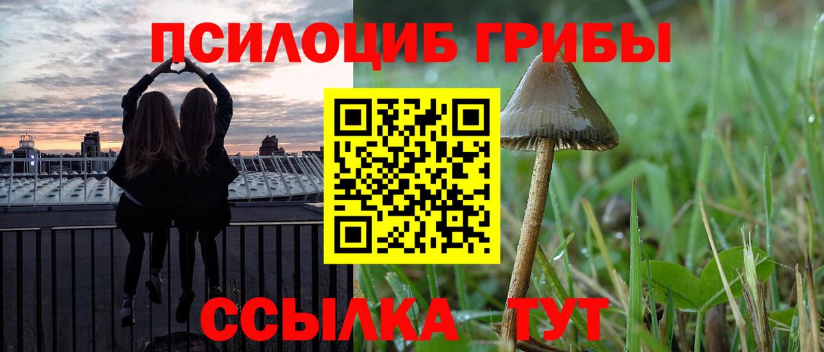 Галлюциногенные грибы мухоморы Шарыпово